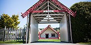 māori-and-pasifica