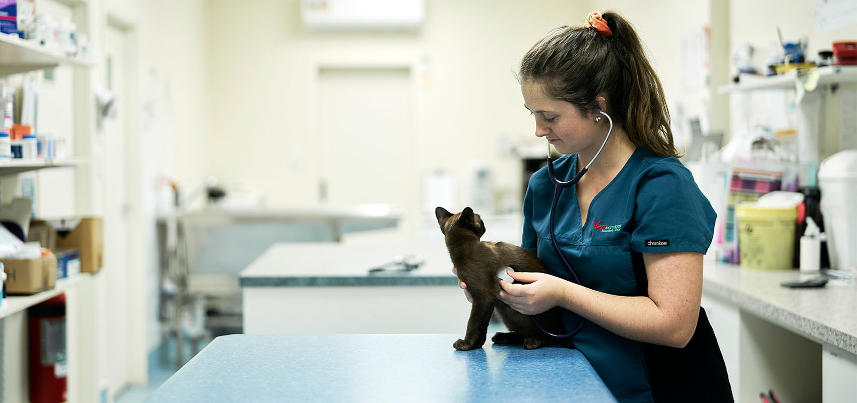 NZ Certificate in Animal Care Animals) (Level 3) EIT Hawke