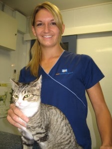 Vet nurse Jessie Broad with Ginni, a sweet-natured young cat looking for a loving home.