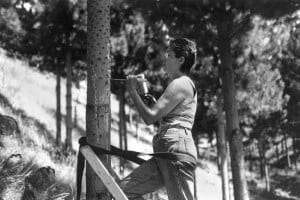 Margo Mensing makes her mark on tree trunks.