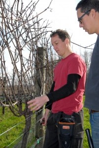 Figure 35  James Hilliard, wine tutor