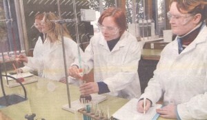 Figure 37 BSc students