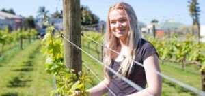 wine science courses + viticulture courses