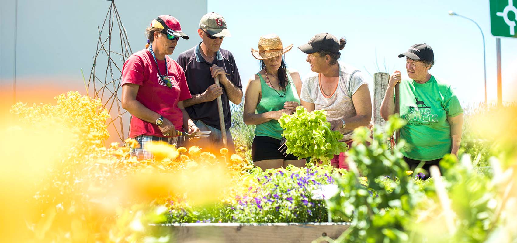 Short Courses and Microcredentials Horticulture EIT Hawke's Bay Short Courses and Microcredentials Horticulture EIT Hawke's Bay